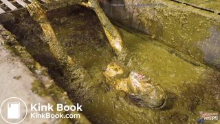 ... Maddison Clumsy In Cow Dung