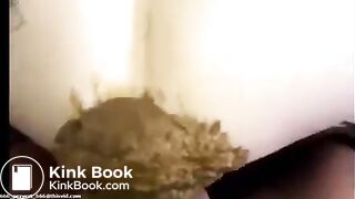 Redhead shitty anal - video 2