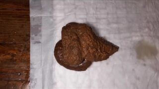 Pretty Gir Stinky Shits on Slave Mouth