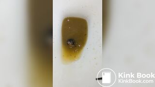 Insects swimming in the toilet