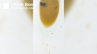 Insects swimming in the toilet