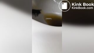 Insects swimming in the toilet