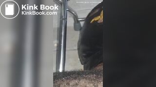 Scat Face Dump Close up