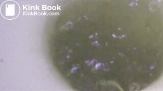 girl shit on toilet - video 4