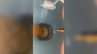 Toilet pooping - video 259