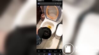 eat shit from toilet