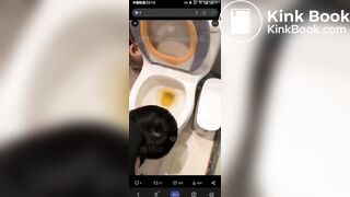 eat shit from toilet