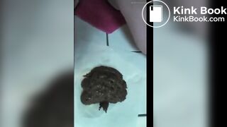 Too much shit with piss
