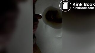 Evo of a Scat Slut 1