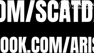 Huge and hard constipation log