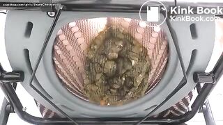 Japanese scat12