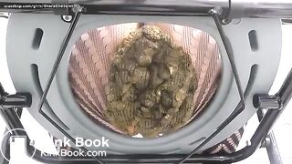 Japanese scat12