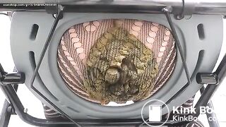 Japanese scat12