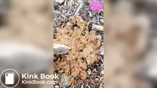 Soft shit at music festival