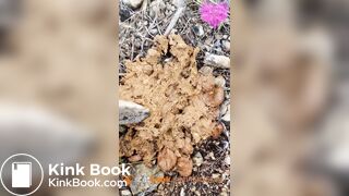 Soft shit at music festival