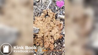 Soft shit at music festival