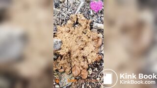 Soft shit at music festival