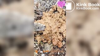 Soft shit at music festival