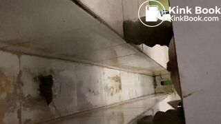 A delicious mountain of poop to pick