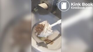 Eating her poop from toilet bowl