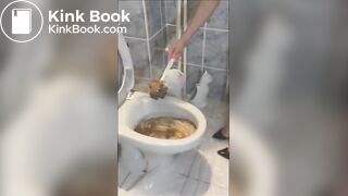 Eating her poop from toilet bowl