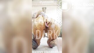 Playing dirty after coffee @lamiadark_