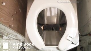 I once used one of these toilets