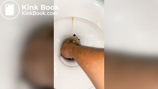 Shit farming small toilet