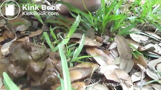 Girl pushing hard turd in forest