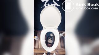 Goddess sera-下贱的马桶