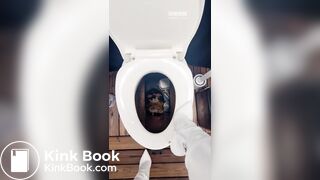 Goddess sera-下贱的马桶