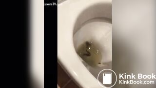 Woman eating shit comp