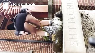 shitting on the shit fountain