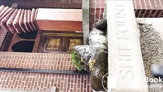 shitting on the shit fountain