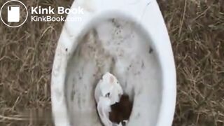 Married MILF poops in a field