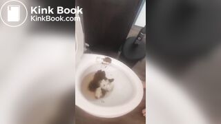 Hot bossy tutor teaches you to love poop