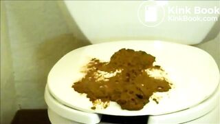 Shit smear on toilet