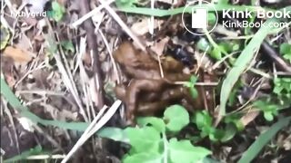 Desperate shit outside