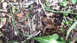 Desperate shit outside