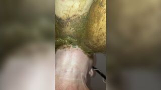 Lick her shit covered pussy phone recording