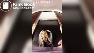 Goddess sera-痴迷坏女人的黄金稀便