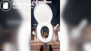 Goddess sera-痴迷坏女人的黄金稀便