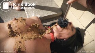 Rustic Release - ArtOfScat.com