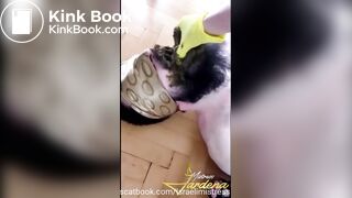 Cruel scat feeding