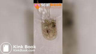 4 logs too big for india