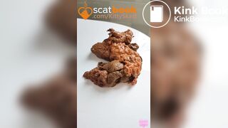 Shit on toilet lid - video 2