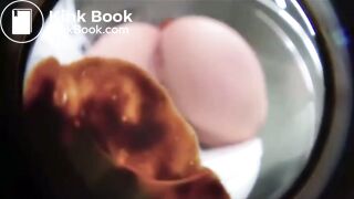 Pawg releases big load of poop