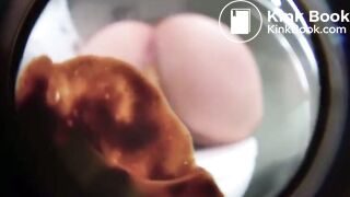 Pawg releases big load of poop