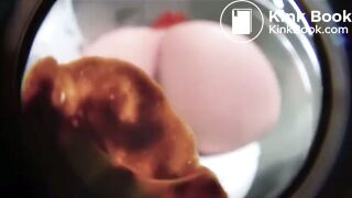 Pawg releases big load of poop