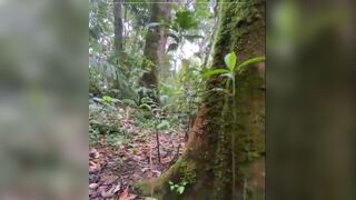 Pooping in the mountain